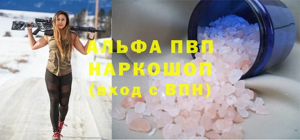 гашик Арсеньев