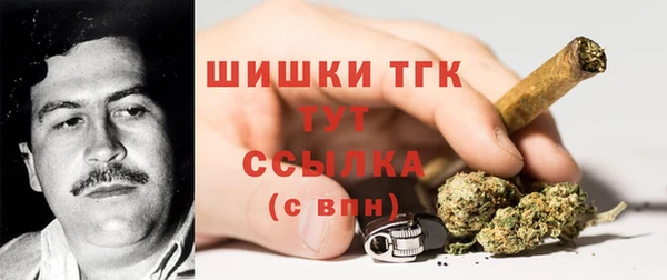 винт Новозыбков