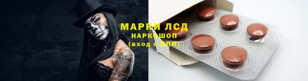 гашик Арсеньев