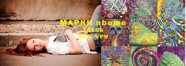 гашик Арсеньев