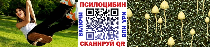 Купить где  Дигора  Псилоцибиновые грибы ЛСД 